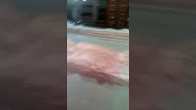 НОВЫЙ ГОД 2026!