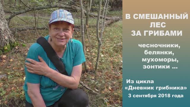 В смешанный лес за грибами. Дневник грибника 3 сентября 2018 года. смотреть онлайн