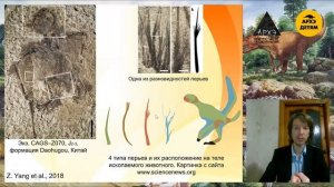 Триас — суровый мир первых динозавров  | Ярослав Попов