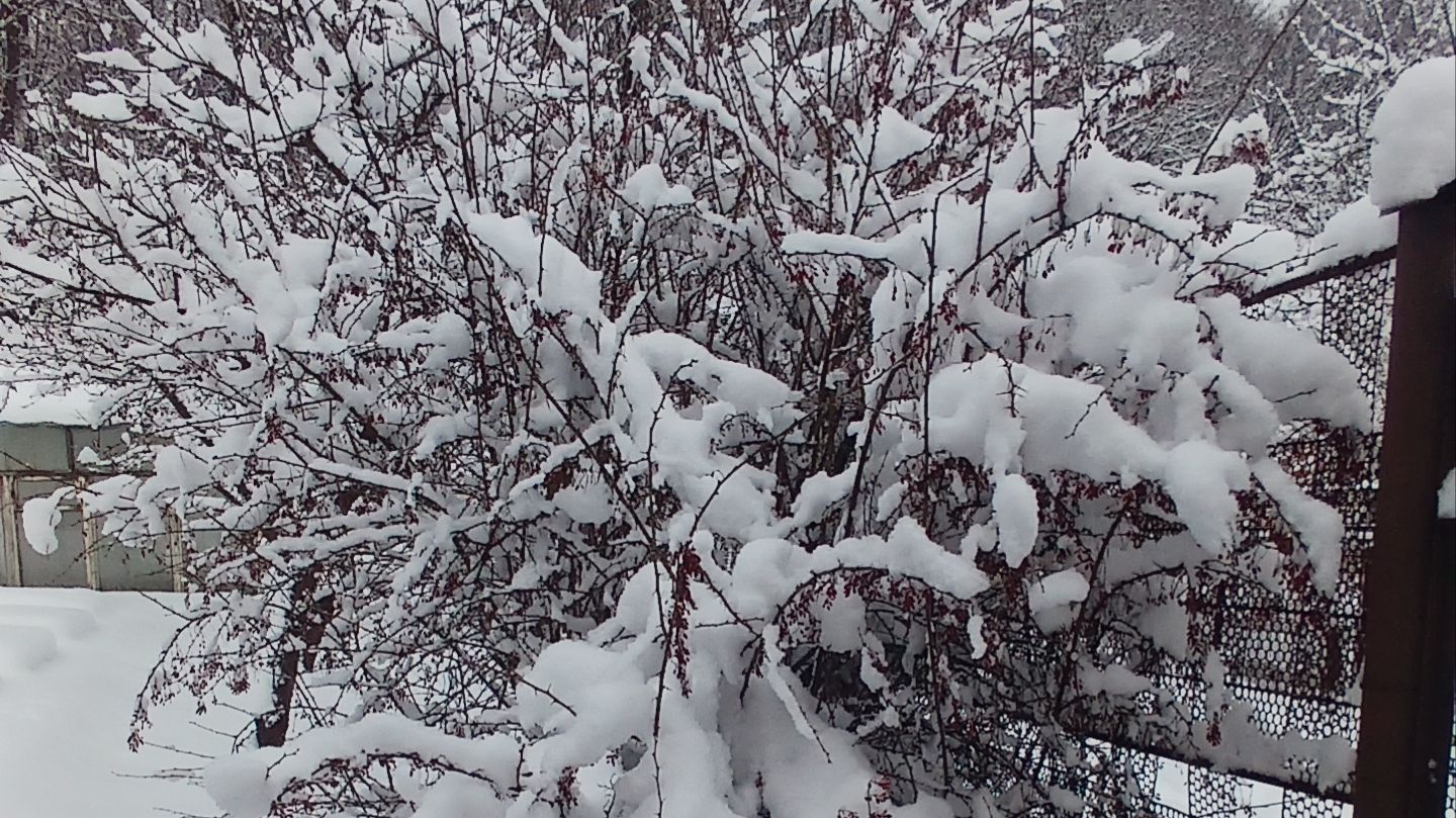 А снег идет ....