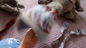 🎄Обзор на то что нам подарил дед мороз 🎄