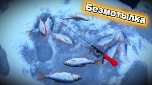 Ловля ПЛОТВЫ в ЦЕНТРЕ ГОРОДА!