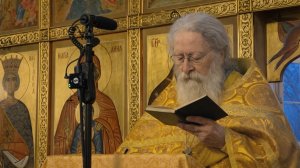 Дополнительное время. Слово отца Геннадия Фаста на Лк.13:6-9 в день гражданского Новолетия. 01.01.26