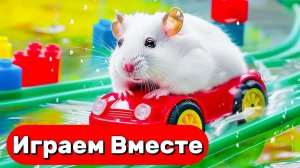 ХОМЯК ВЫБИРАЕТСЯ ИЗ СЕКРЕТНОЙ ХОМЯЧЕЙ ТЮРЬМЫ  ! Играем ВМЕСТЕ ! Помогаем выбраться из лабиринта №3