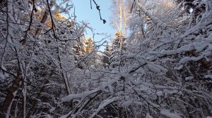 СУМАСШЕДШИЕ СКИДКИ