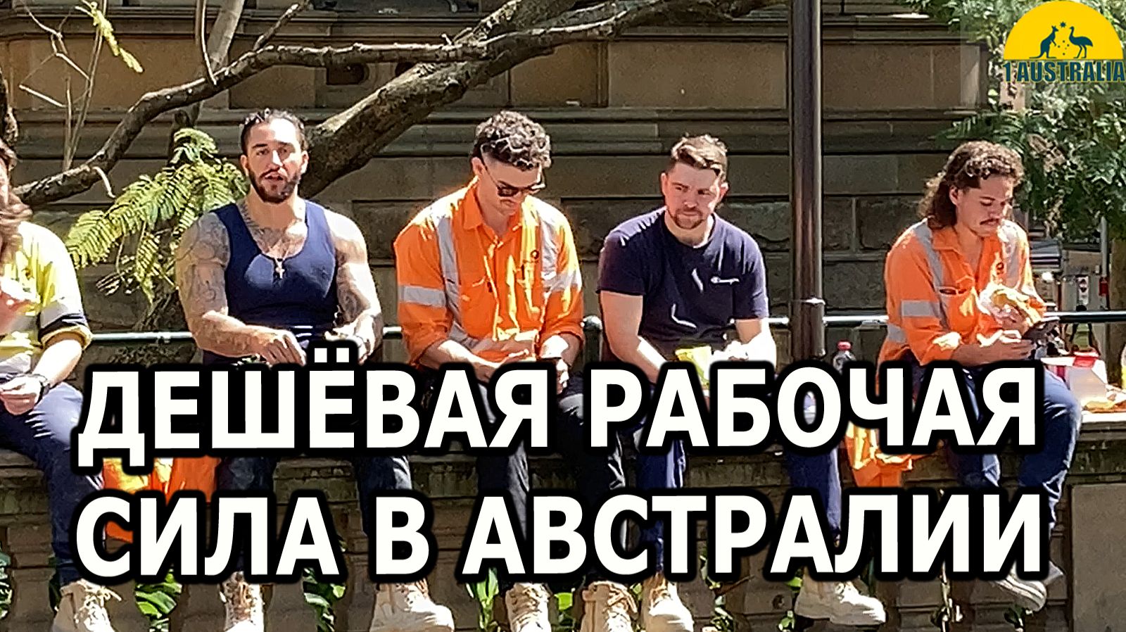 ДЕШЁВАЯ РАБОЧАЯ СИЛА В АВСТРАЛИИ. [#1Australia]#6376