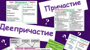 Русский язык, 7 класс. Причастие и деепричастие