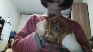 VID_20260101_124204.mp4