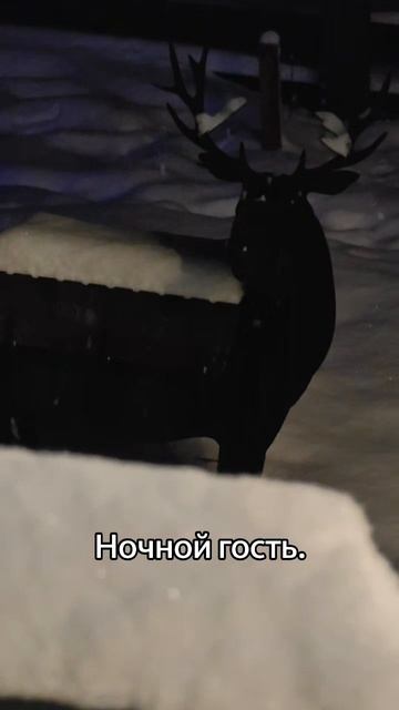 Ночной гость. смотреть онлайн