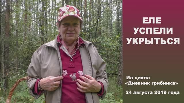 Еле успели укрыться! Дневник грибника 24 августа 2019 года. смотреть онлайн