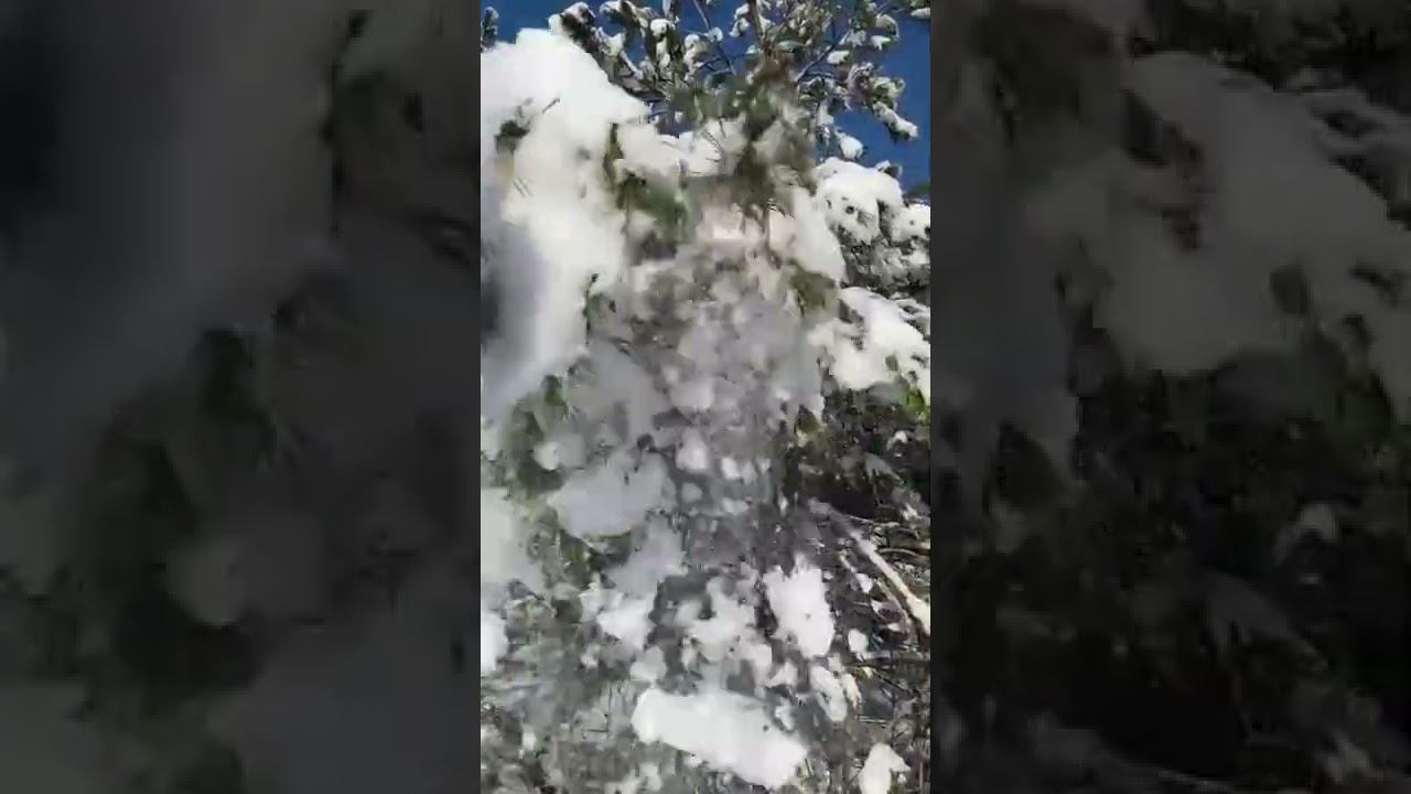 декапрель, пожалуйста только не декамай❄ смотреть онлайн