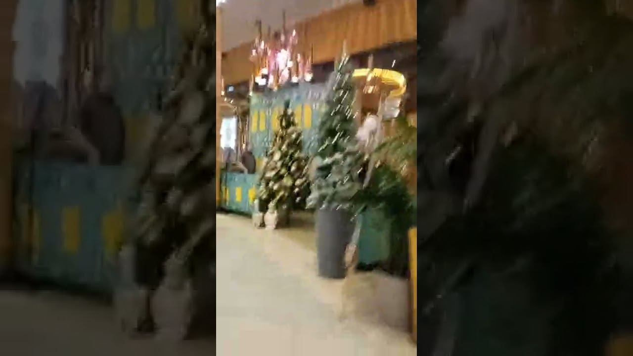 18 мая 2022 г. смотреть онлайн