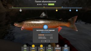 НОВОГОДНИЕ ЗАДАНИЯ ЭКСТРА 4 ЭТАП - РУССКАЯ РЫБАЛКА 4