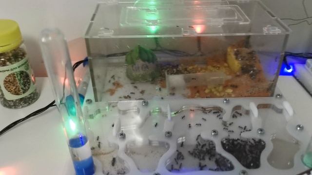 С Новым годом! .mp4 смотреть онлайн