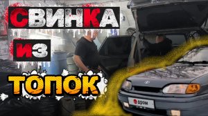 свинка из топок