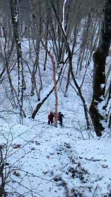 Буксир Эндуро ) смотреть онлайн