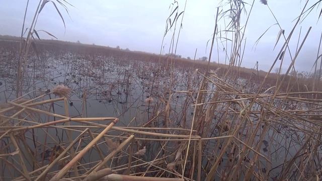 НА КАТЕРЕ, В КОТОРОМ ХОЧЕТСЯ ЖИТЬ! ОХОТА СРЕДИ ЛЬДОВ, ЧУТЬ РЫБАЛКИ И ПЛОВ ИЗ ДИКОЙ УТКИ. ВОЗВРАЩЕНИЕ