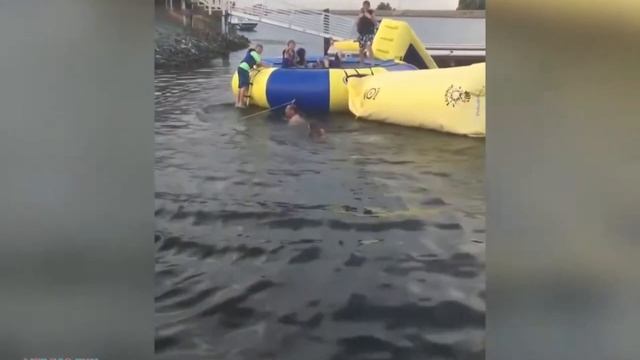 Смешные падения в воду (7) смотреть онлайн