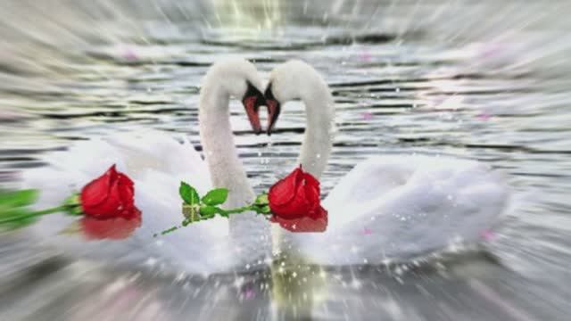 Лебединая верность смотреть онлайн