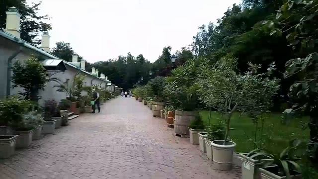 Царицыно_1_2023