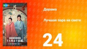 Лучшая пара на свете 24 серия