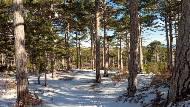 По Еврейской тропе. 01.01.26. смотреть онлайн