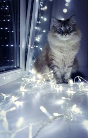 Юлька наташка в ключат стрим час