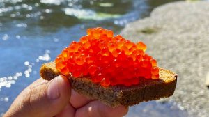 Приготовление икры из свежей рыбы. Камчатка
