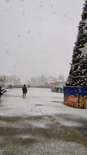 Редкие кадры в Алуште смотреть онлайн