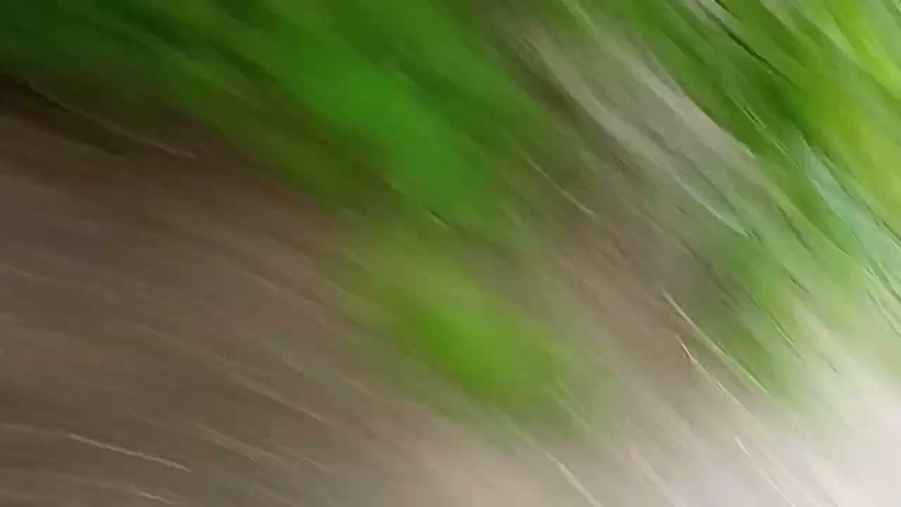  смотреть онлайн