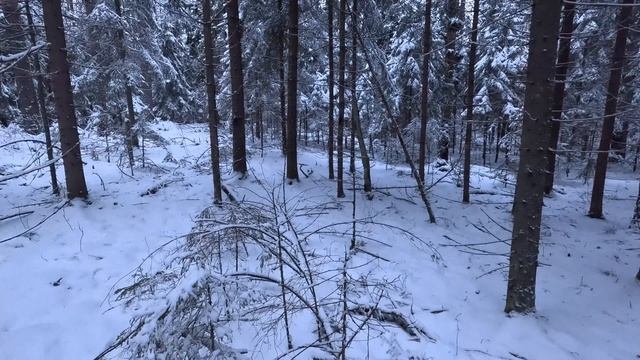 Погоняли,но не взяли! 01.01.2026 смотреть онлайн