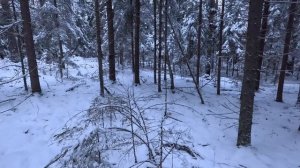 Погоняли,но не взяли! 01.01.2026