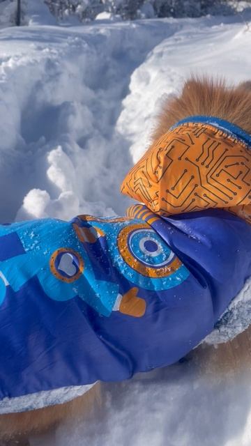 С Новым 2026 годом 🎄🎅🎊🪅🎉🥳 Пусть новый год принесет удачу, много радостных событий 💖💖💖 смотреть онлайн