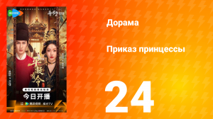 Приказ принцессы 24 серия
