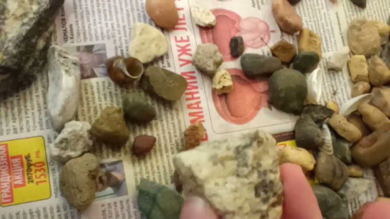 6 декабря 2022 г. смотреть онлайн