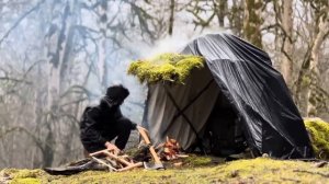 Выживаю без палатки зимой. Строю шалаш и ночую в нем. Бушкрафт