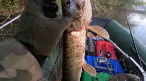 🔺️🎣ЗАВЕС🎣🔺️fishing#туризм#природа#ловля#рыбалка#щука#ловлящуки#ночевка#Чулым#река#спиннинг