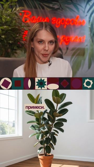 Скачет давление? Проверьте воздух в доме смотреть онлайн