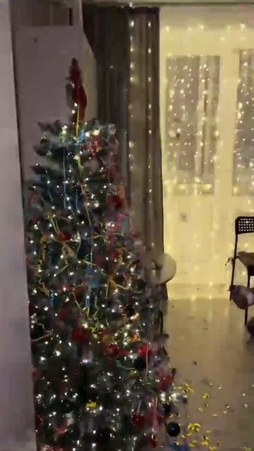 Сын Николай. Петрозаводск. 😉.mp4