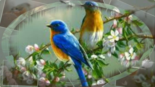 Ветра стон и птица плачет смотреть онлайн