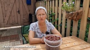 ЗАЧЕМ НАДО КУШАТЬ КРЫЖОВНИК @natureMarusya