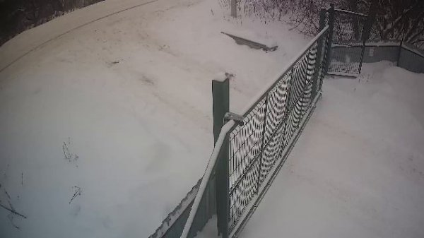 LIVE: channel74055310