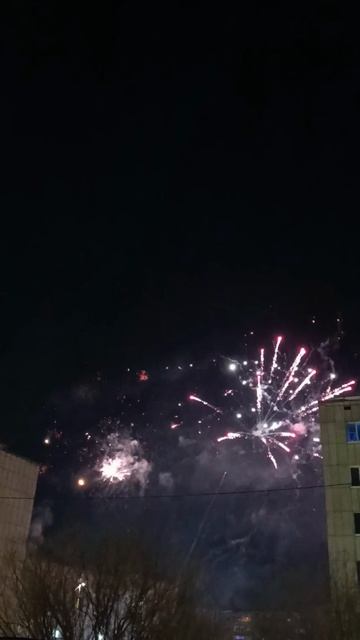 Ёлка🎄Салют 🎆Новый 2026 год🎉 #ёлка #салют #новыйгод #новый2026год #зима #январь #праздник смотреть онлайн