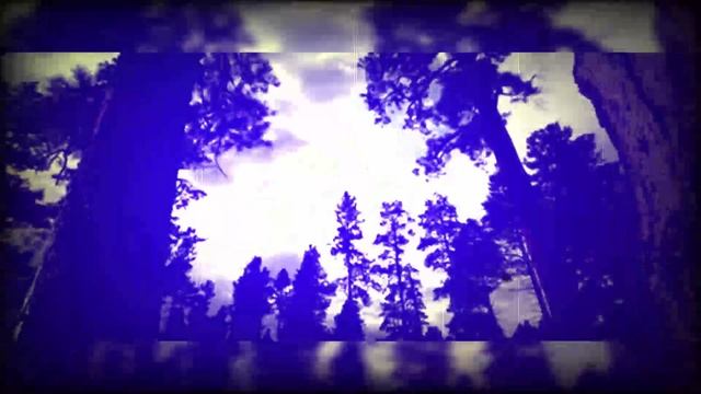 Зиг-заг удачи смотреть онлайн