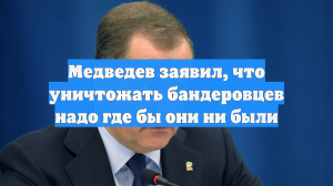 Медведев заявил, что уничтожать бандеровцев надо где бы они ни были