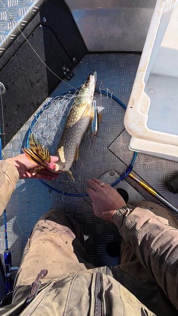 Карма от Щуки за Димедрол! смотреть онлайн