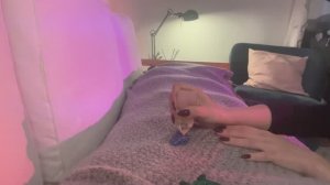 АСМР Рейки. Долгое очищение твоих чакр