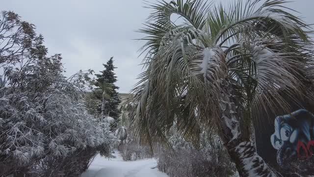 Сочи.Снегопад смотреть онлайн