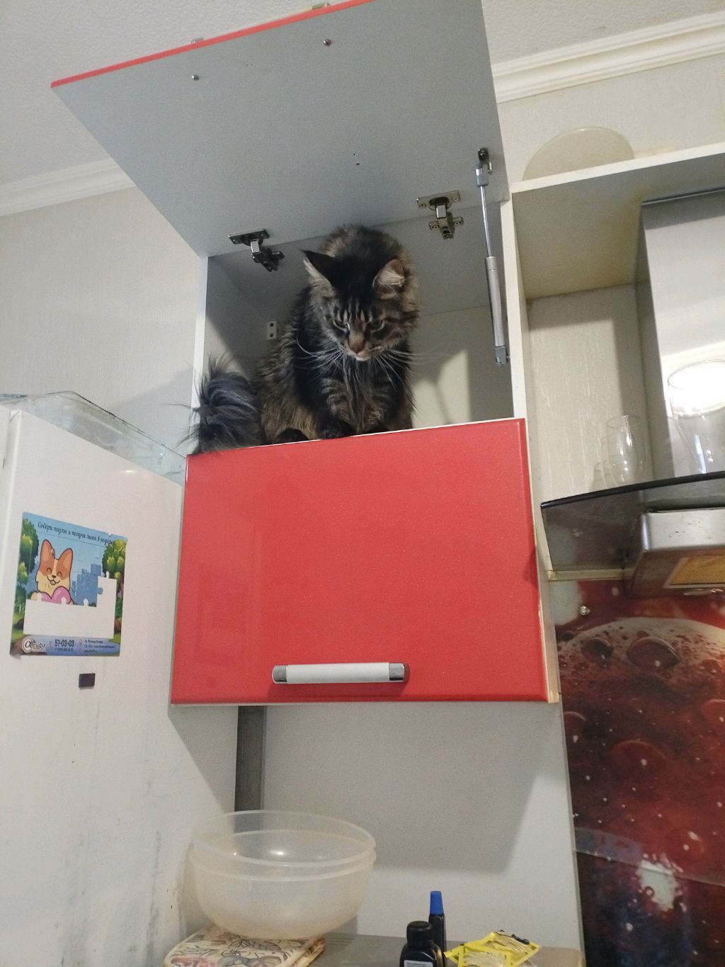 Приставка смотреть онлайн