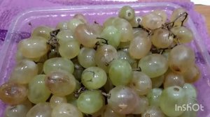 виноградный висельник на водке.  (зелёный виноград)